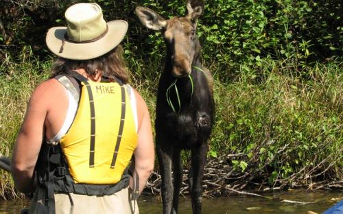 Mike_and_the_moose.jpg